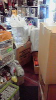 http://terra.torebo-kichijoji.jp/image/2009072422220000-thumbnail4.jpg